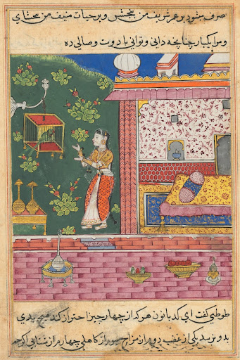 The Parrot Addresses Khujasta at the Beginning of the Thirtieth Night, from a Tuti-nama (Tales of a Parrot)