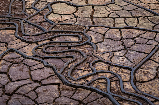 Murray-Darling Basin