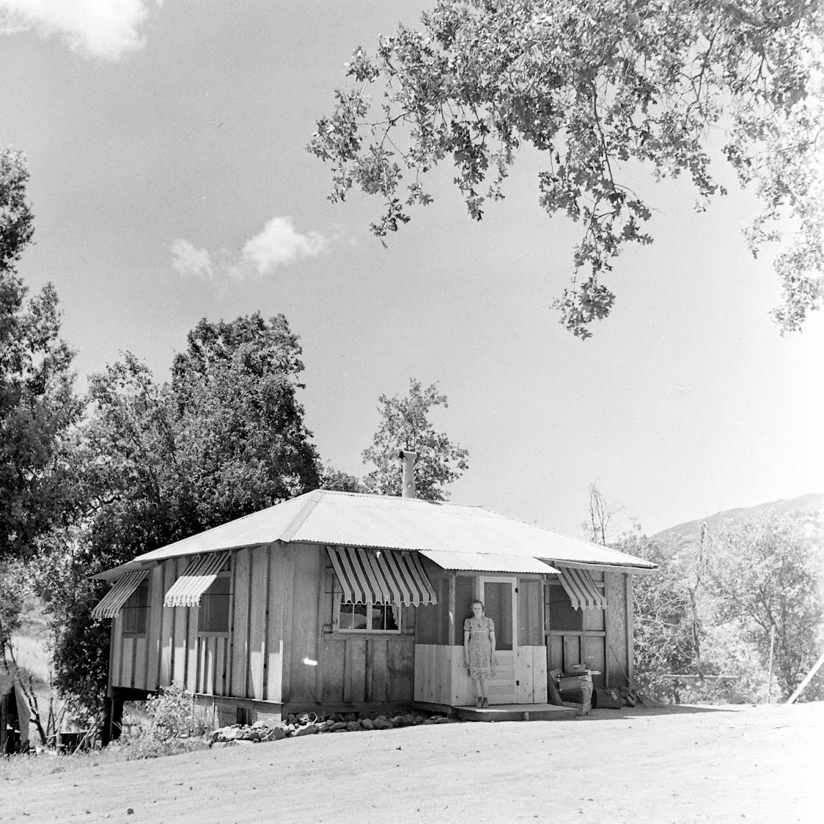 Frank Dewey, Mercury Prospector Geyserville, California