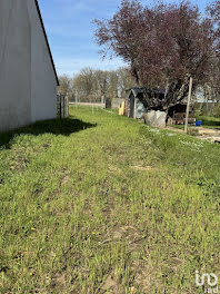 terrain à Noyant-de-Touraine (37)