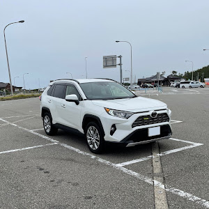 RAV4 MXAA54