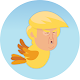 The Flappy Trump Install on Windows