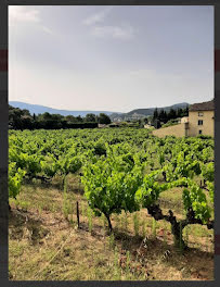 terrain à Vaison-la-Romaine (84)