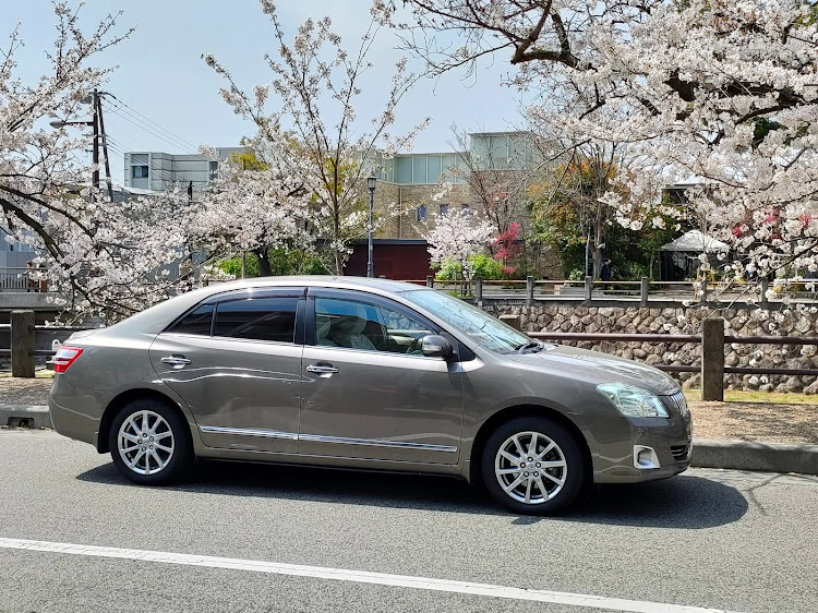 プレミオの桜とコラボ・サクラ・セダンに関するカスタム事例の投稿画像4枚目