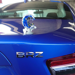 BRZ ZC6