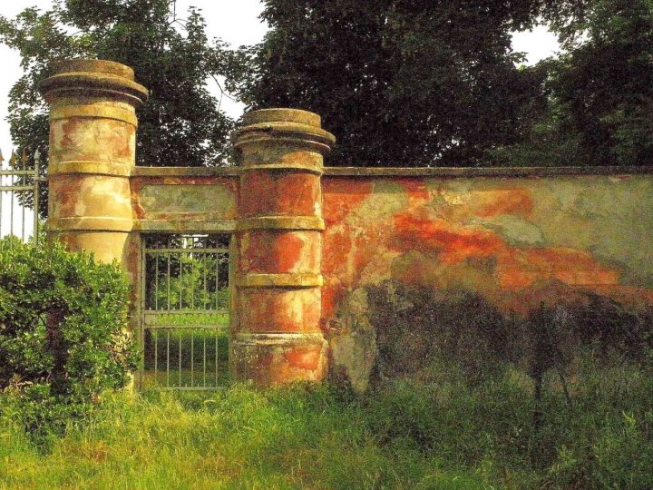 Abbandonata da tutti... di Wilmanna