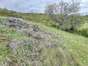 terrain à batir à Demandolx (04)