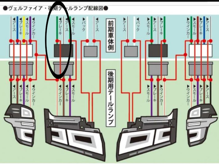 の投稿画像16枚目