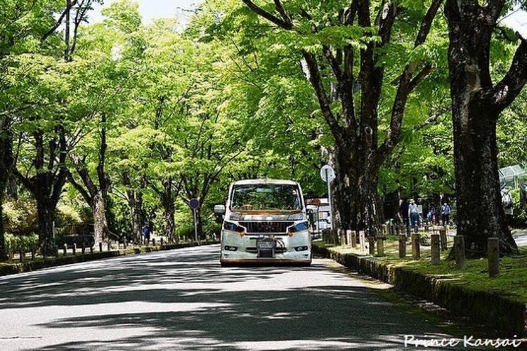 ステップワゴンの京都府立植物園・ＧＷ休暇の中休み・薔薇の見頃にはまだ早かった・ＧＷ休暇の車いじり・新緑と愛車のコラボ撮影に関するカスタム事例の投稿画像2枚目
