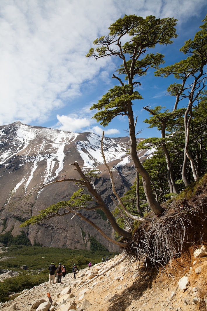 Патагония: Carretera Austral - Фицрой - Торрес-дель-Пайне. Треккинг, фото.