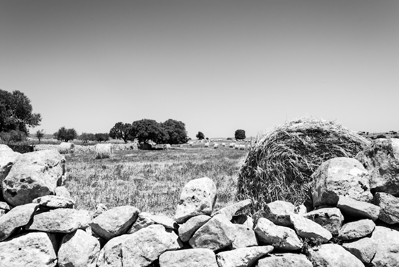 Distesa di roberta_calabrese