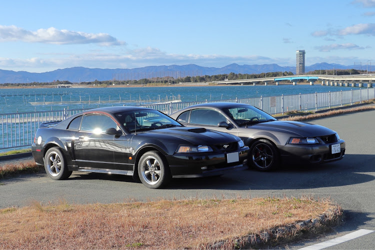 マスタングSVTコブラのSVT cobra・Mustang GT・浜名湖・クーチューンに関するカスタム事例の投稿画像2枚目