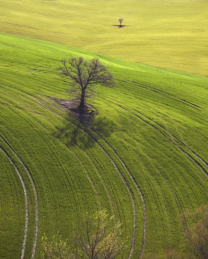 Nella terra di Siena di vagero