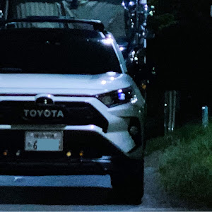 RAV4 AXAH54