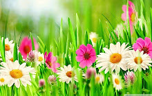 Flowers Wallpapers HD Themes small promo image