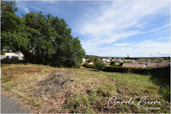 terrain à Lézignan-la-Cèbe (34)