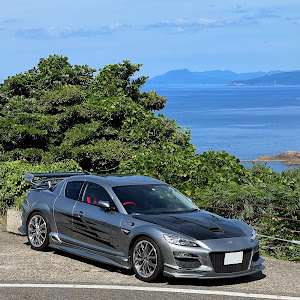 RX-8 SE3P