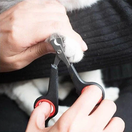 Pet Cat Dog Nail Clipper Cutter Stainless Steel Grooming Scissors Clippers for Pet Claws Stonego Dog Supplies