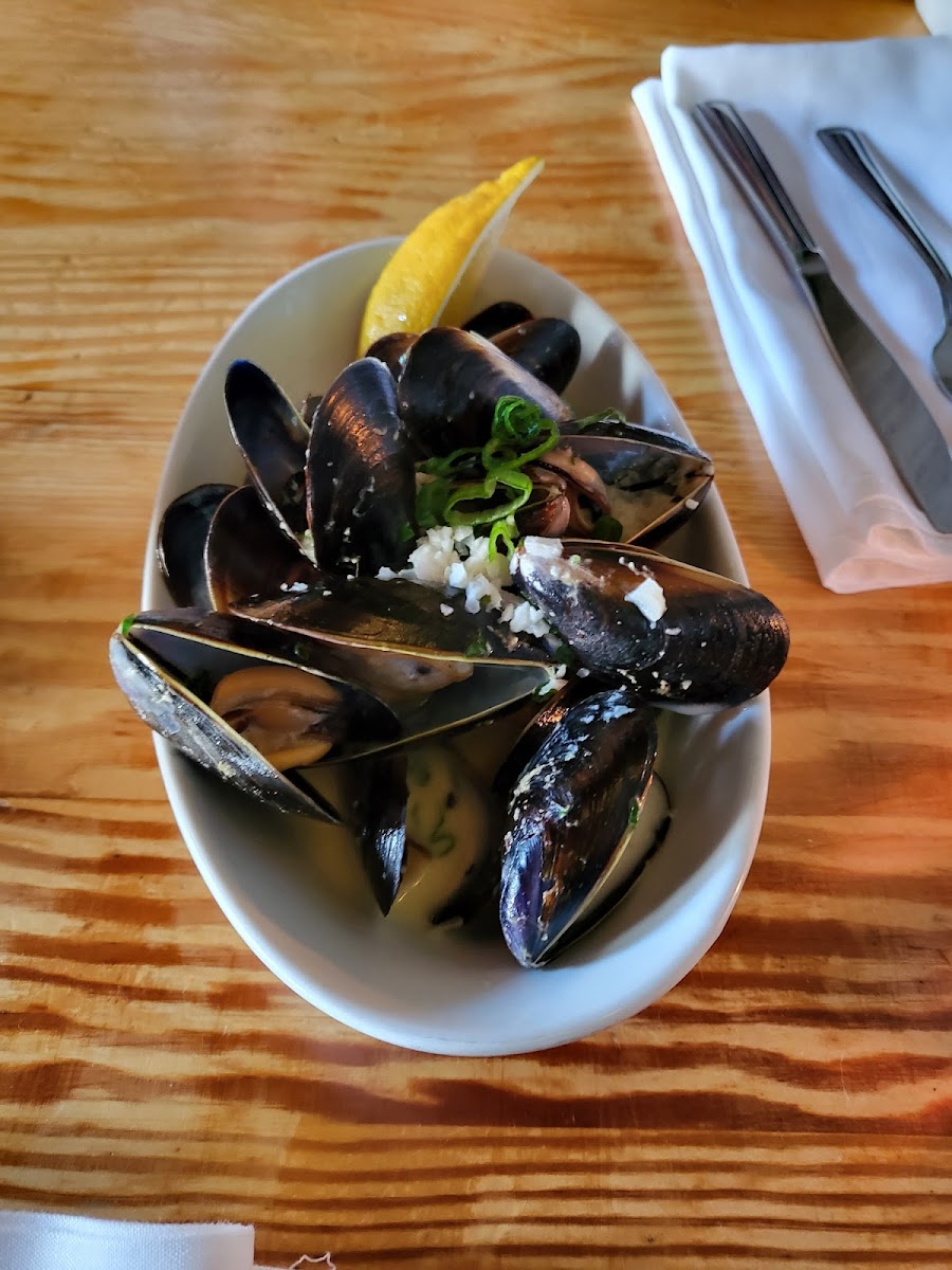 Mussels appetizer