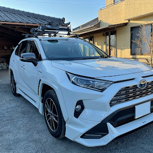 RAV4 AXAH54