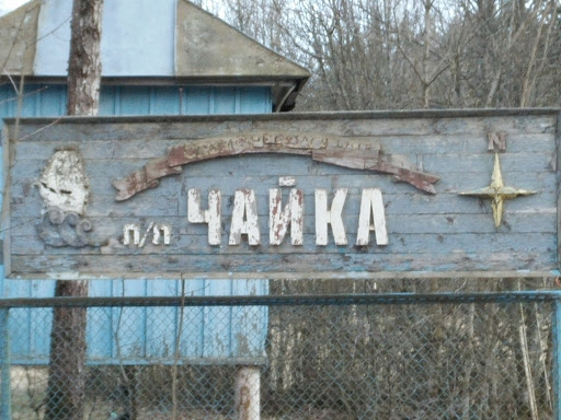 Чайка