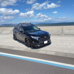 RAV4 MXAA52