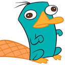 Perry!!!