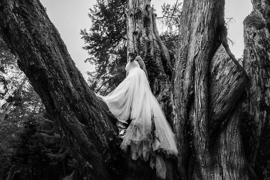 Fotógrafo de bodas Sara Lombardi (saralombardi). Foto del 7 de julio 2015