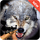 Download Sniper Wolf Hunter 2017 For PC Windows and Mac 1.0