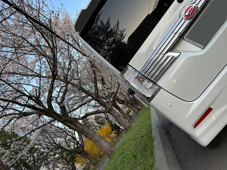 タントカスタムのやりすぎない美学・桜とコラボ・低そうで低くない少し低い車・ドライブに関するカスタム事例の投稿画像5枚目