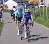 Amstel Gold Race: la réaction de Julian Alaphilippe 