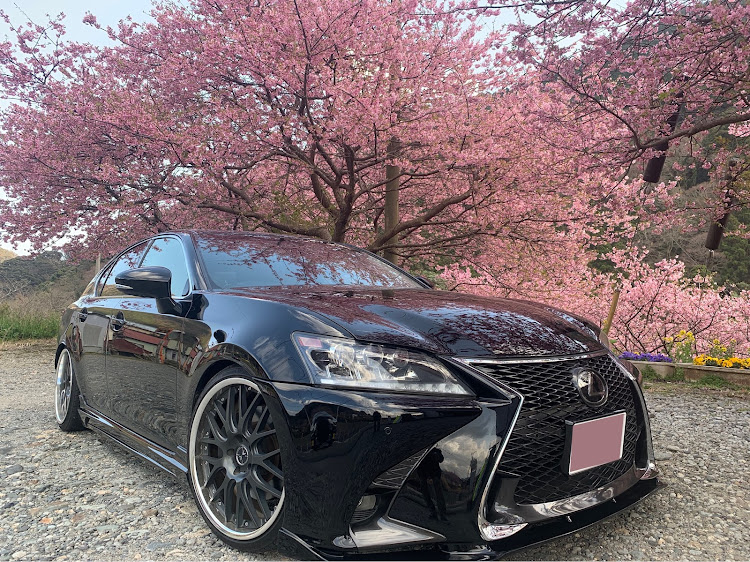 GSのドライブ・河津桜・石廊崎・菜花に関するカスタム事例の投稿画像4枚目