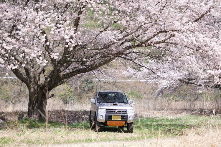 パジェロミニのパジェロミニカスタム・桜とコラボ・サクラと愛車・#パジェロミニ・パジェロミニに関するカスタム事例の投稿画像3枚目