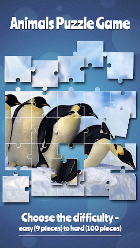 Animals Puzzle Game