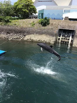 秘密の病気🤫