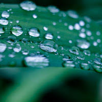 Water Drops di 