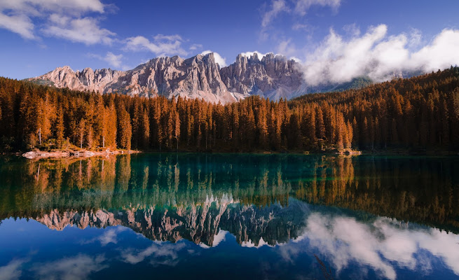 una Carezza dalla natura di Valentina D.