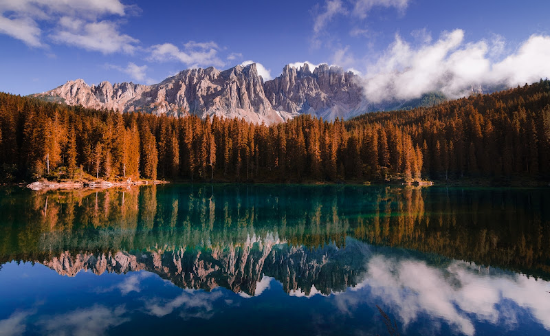 una Carezza dalla natura di Valentina D.