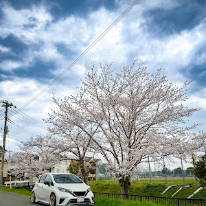ノート HE12