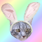 Item logo image for Tappy Easter