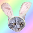 Tappy Easter Chrome extension download