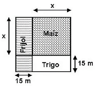 ¿Cuál de las siguientes expresiones algebraicas representa el área que ocupa todo el terreno de Doña Sofía?