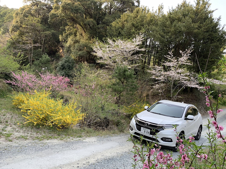 ヴェゼルの桜・山・一人旅に関するカスタム事例の投稿画像2枚目