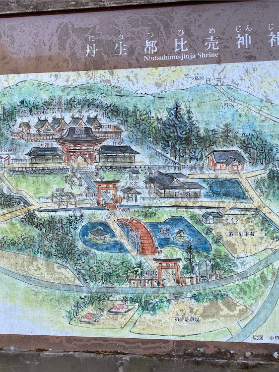 ライズのドライブに関するカスタム事例の投稿画像4枚目