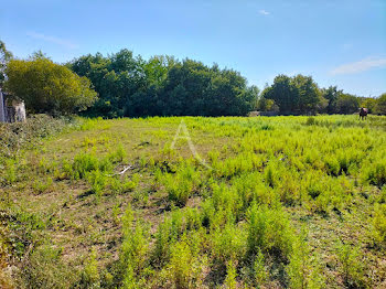 terrain à Saint-Urbain (85)