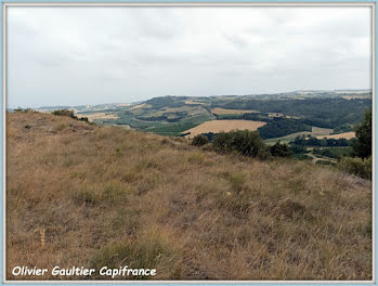 terrain à Villasavary (11)