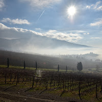 Tra le nebbie del mattino di 