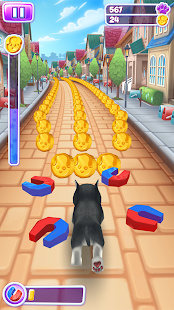 Pet Run