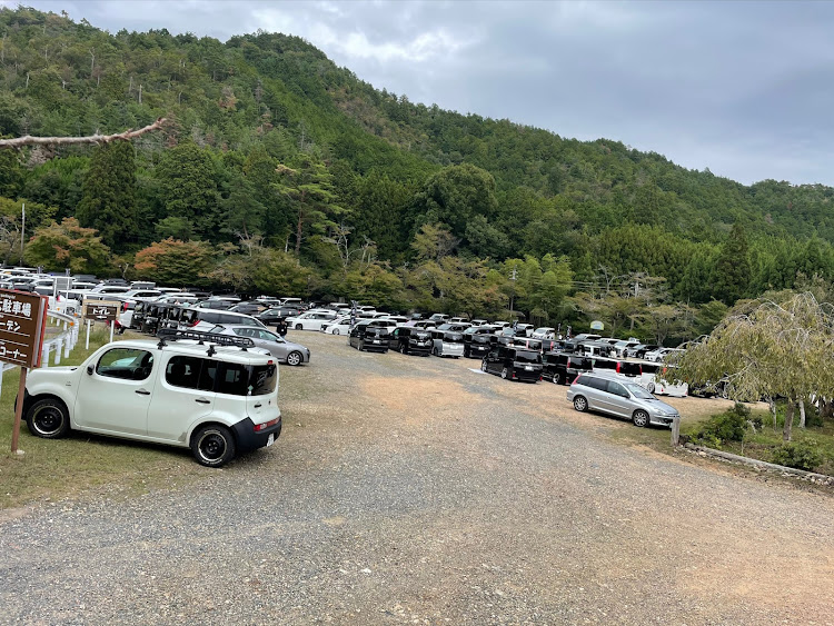 ヴォクシーのCustomGarageTMES・JACK高雄MTに関するカスタム事例の投稿画像1枚目