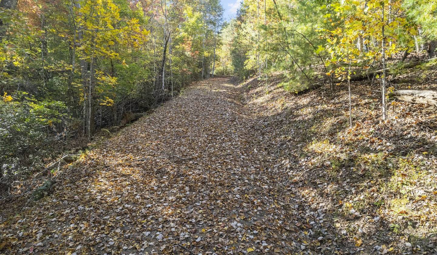 Terrain Lake Lure